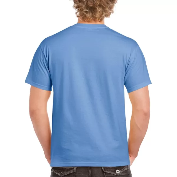 Gildan Adult Ultra Cotton T-shirt, Style G2000, Multipack)