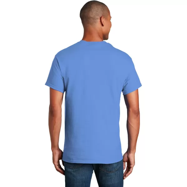 Gildan Adult Ultra Cotton T-shirt, Style G2000, Multipack)