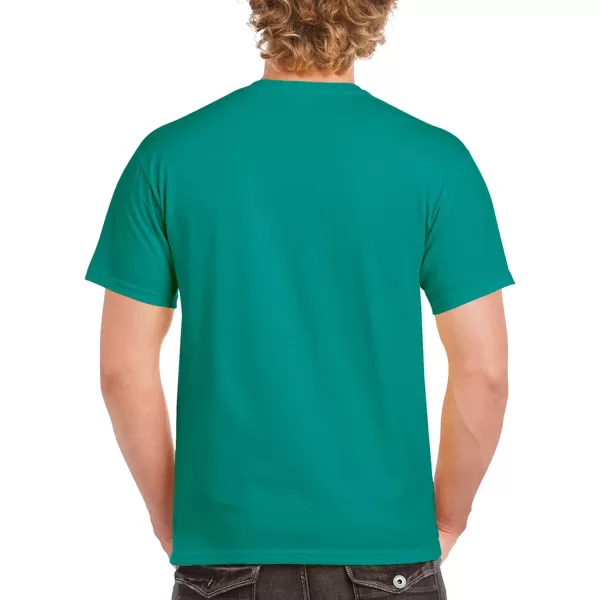 Gildan Adult Ultra Cotton T-shirt, Style G2000, Multipack