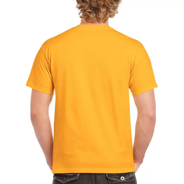 Gildan Adult Ultra Cotton T-shirt, Style G2000, Multipack)