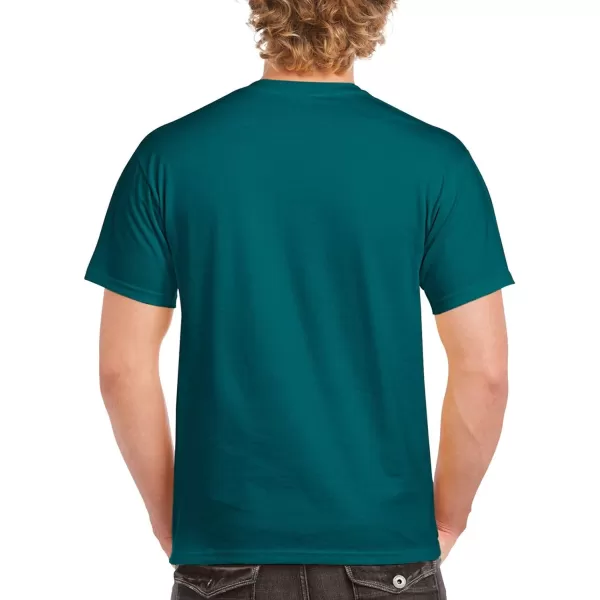 Gildan Adult Ultra Cotton T-shirt, Style G2000, Multipack)