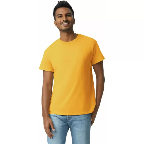 Gildan Adult Ultra Cotton T-shirt, Style G2000, Multipack)