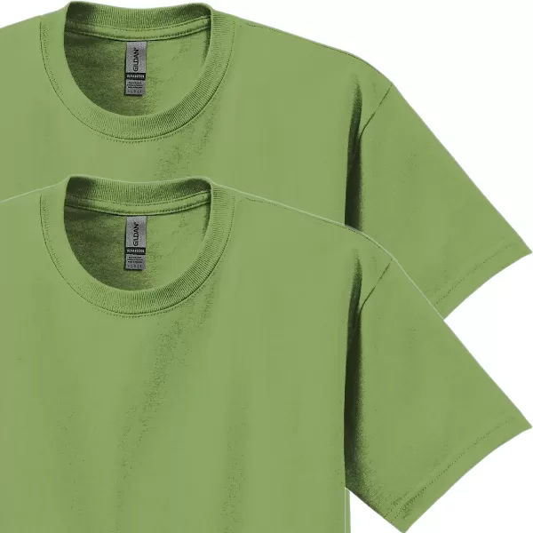 Gildan Adult Ultra Cotton T-shirt, Style G2000, Multipack)