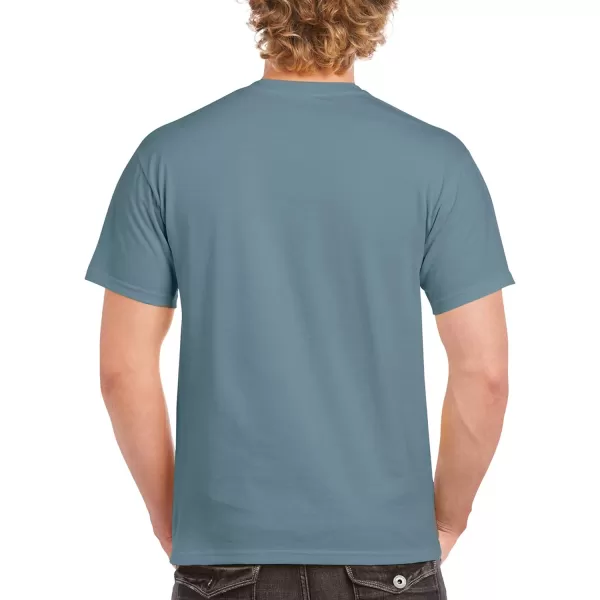 Gildan Adult Ultra Cotton T-shirt, Style G2000, Multipack