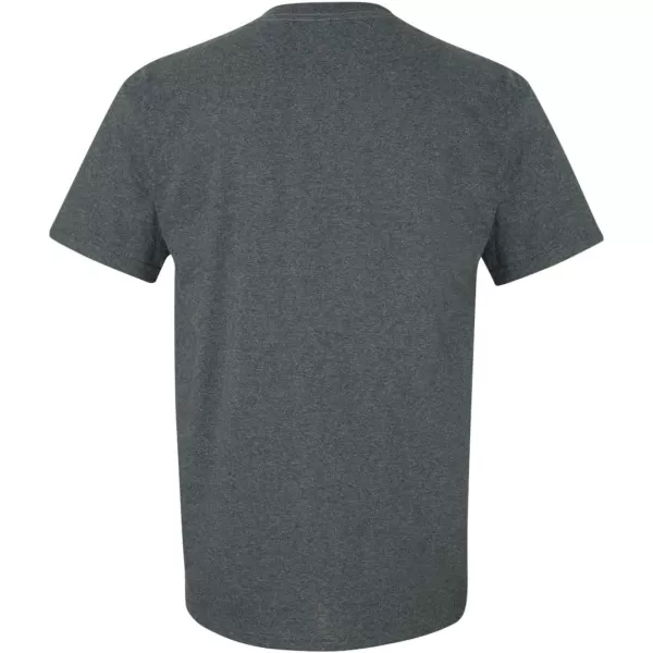 Gildan Adult Ultra Cotton T-shirt, Style G2000, Multipack
