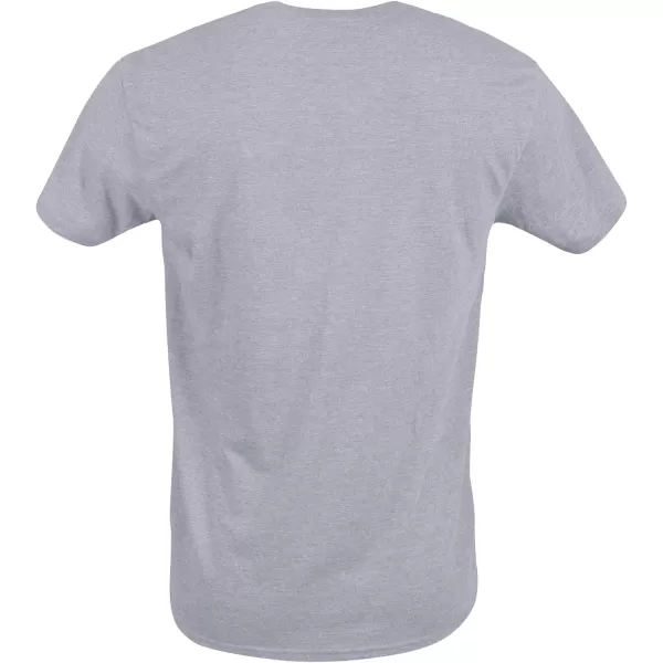 Gildan Adult Ultra Cotton T-shirt, Style G2000, Multipack)