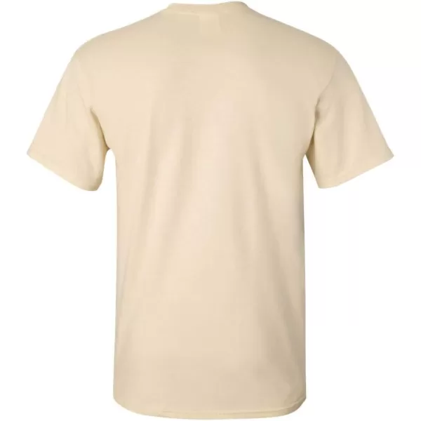 Gildan Adult Ultra Cotton T-shirt, Style G2000, Multipack