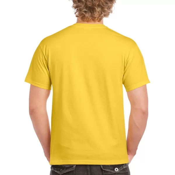 Gildan Adult Ultra Cotton T-shirt, Style G2000, Multipack
