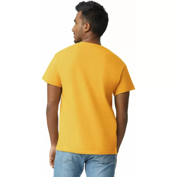 Gildan Adult Ultra Cotton T-shirt, Style G2000, Multipack)