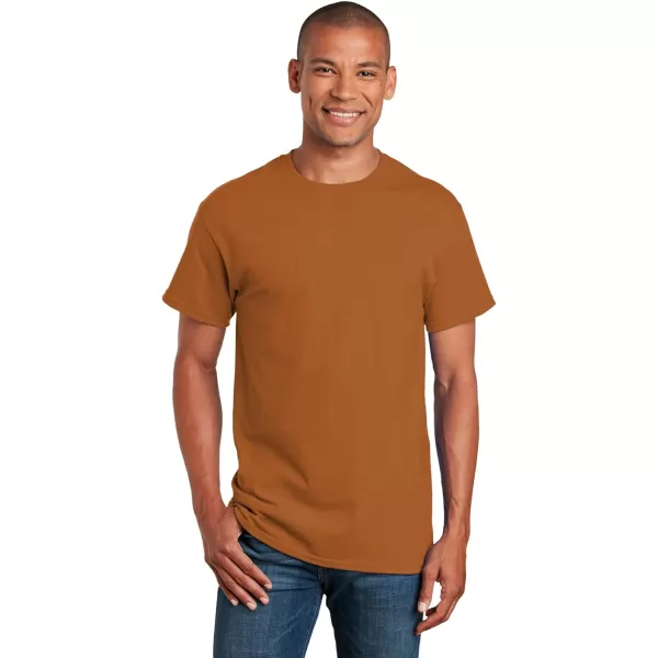 Gildan Adult Ultra Cotton T-shirt, Style G2000, Multipack)