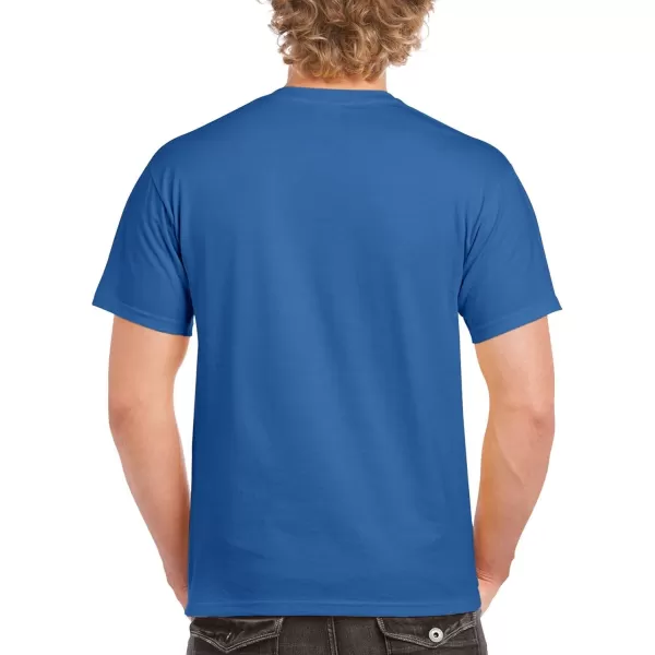 Gildan Adult Ultra Cotton T-shirt, Style G2000, Multipack)