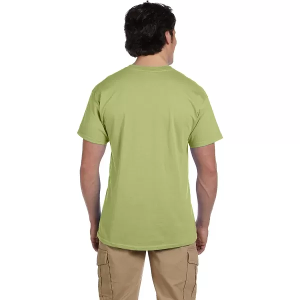 Gildan Adult Ultra Cotton T-shirt, Style G2000, Multipack