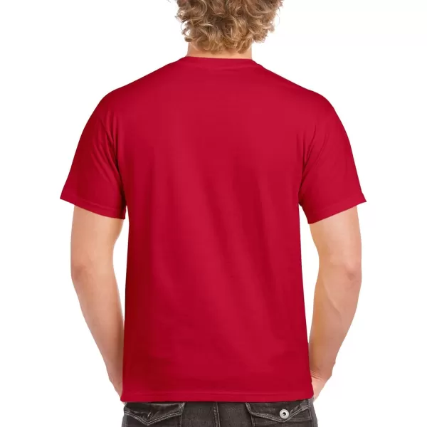Gildan Adult Ultra Cotton T-shirt, Style G2000, Multipack