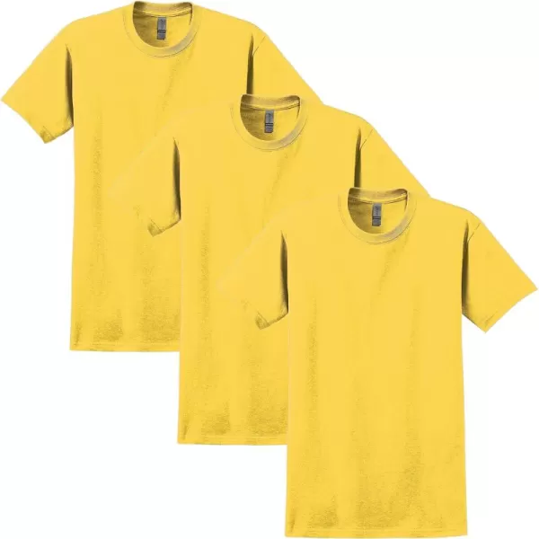 Daisy (3-pack)