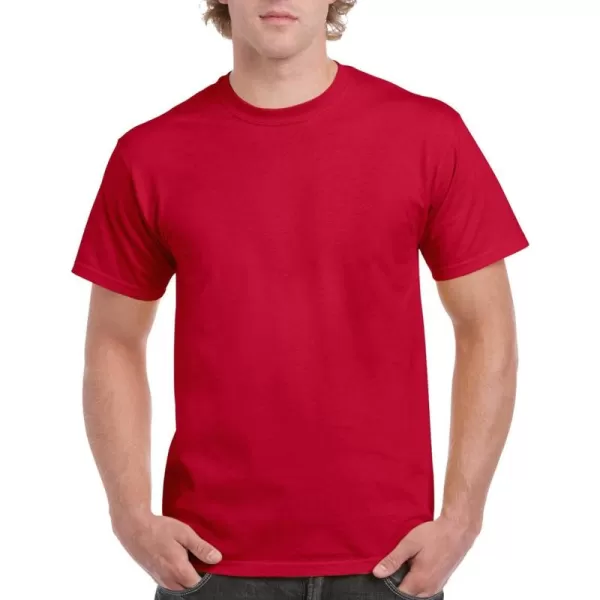 Gildan Adult Ultra Cotton T-shirt, Style G2000, Multipack