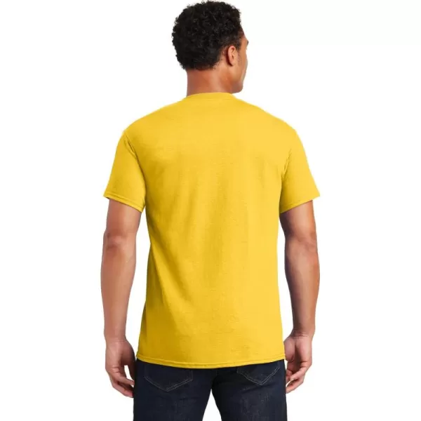 Daisy (2-pack)