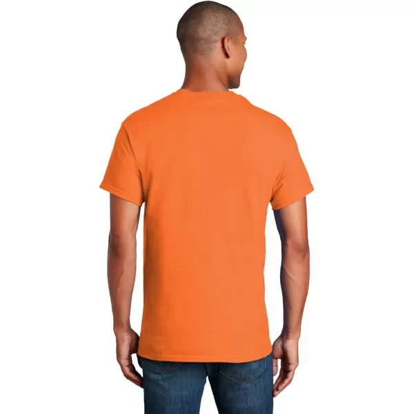 Gildan Unisex-Adult Ultra Cotton T-Shirt, Style G2000, Multipack)