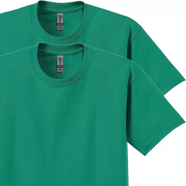 Gildan Unisex-Adult Ultra Cotton T-Shirt, Style G2000, Multipack)