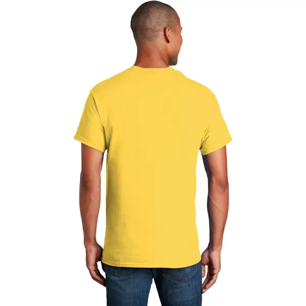 Gildan Unisex-Adult Ultra Cotton T-Shirt, Style G2000, Multipack)