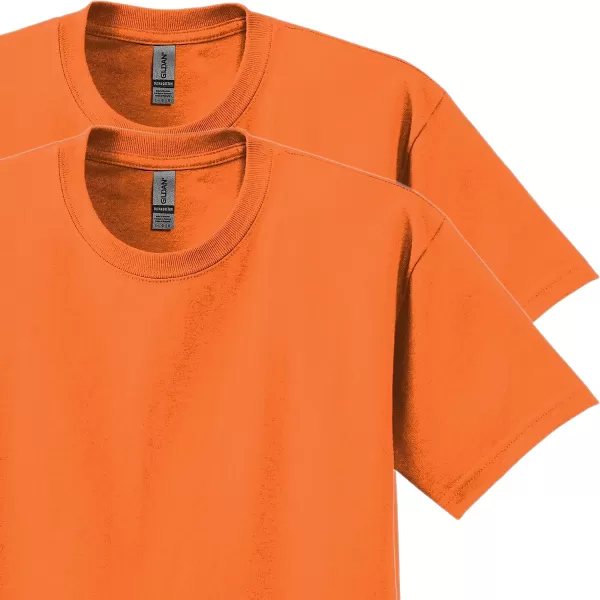 Gildan Unisex-Adult Ultra Cotton T-Shirt, Style G2000, Multipack)