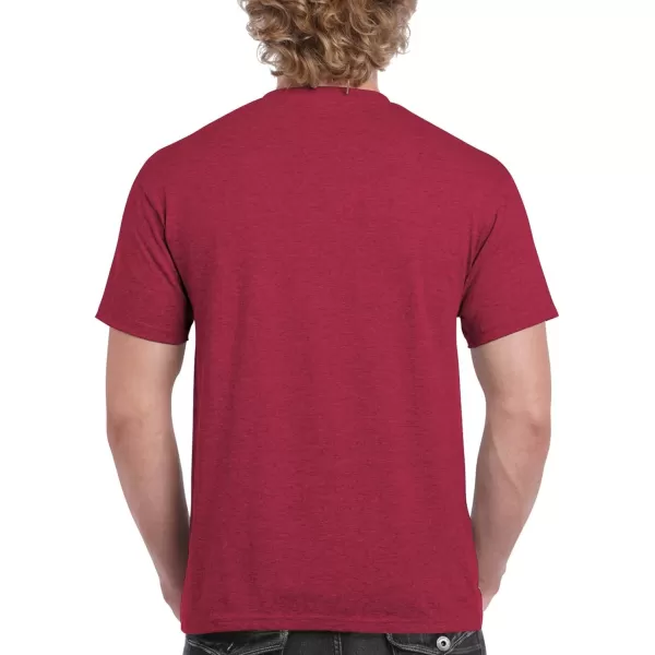 Gildan Unisex-Adult Ultra Cotton T-Shirt, Style G2000, Multipack)
