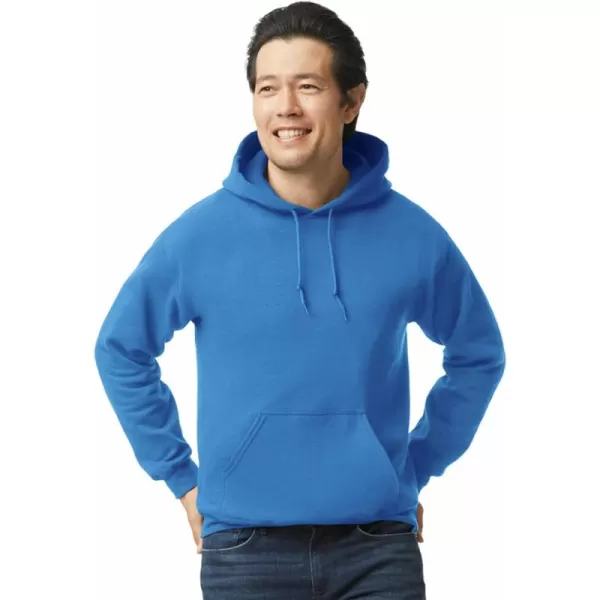 Gildan Unisex-adult Fleece Hoodie Sweatshirt, Style G18500, Multipack)