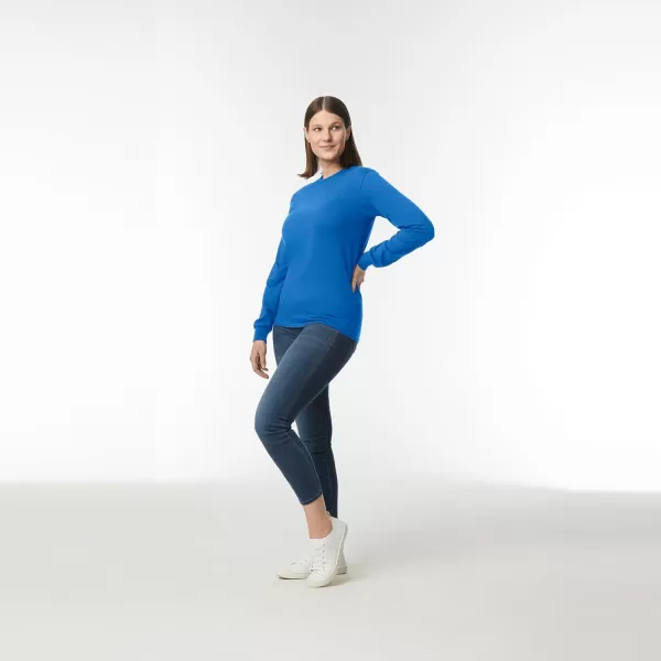 Gildan Adult DryBlend Long Sleeve TShirt Style G8400 2PackRoyal