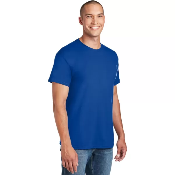 Gildan UnisexAdult Dryblend TShirt Style G8000 MultipackRoyal 2pack