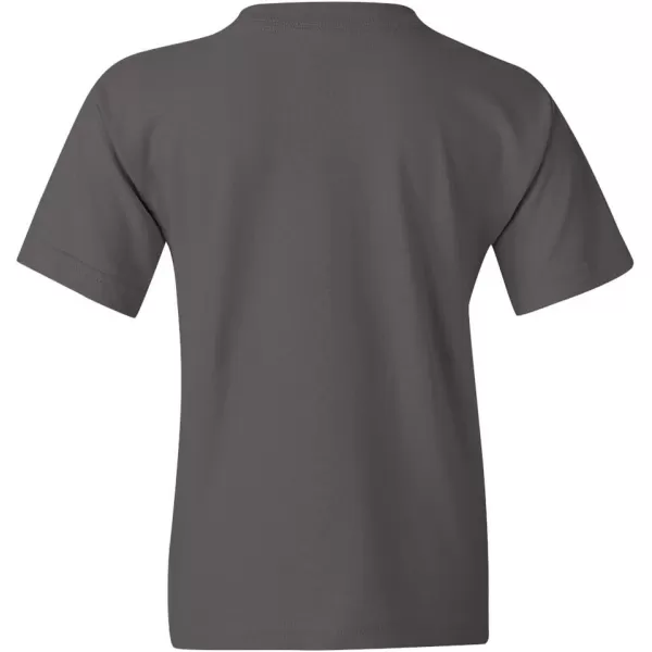 Gildan Youth Heavy Cotton TShirt Style G5000B 2PackCharcoal