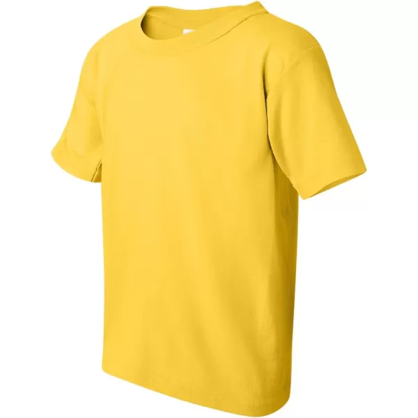 Gildan Youth Heavy Cotton TShirt Style G5000B 2PackDaisy