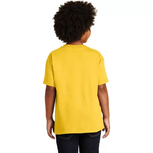 Gildan Youth Heavy Cotton TShirt Style G5000B 2PackDaisy