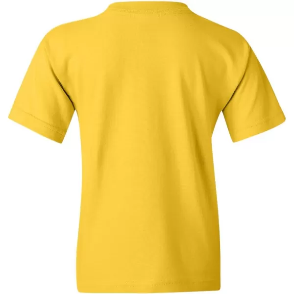 Gildan Youth Heavy Cotton TShirt Style G5000B 2PackDaisy