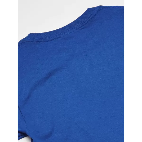Gildan Youth Heavy Cotton TShirt Style G5000B 2PackRoyal
