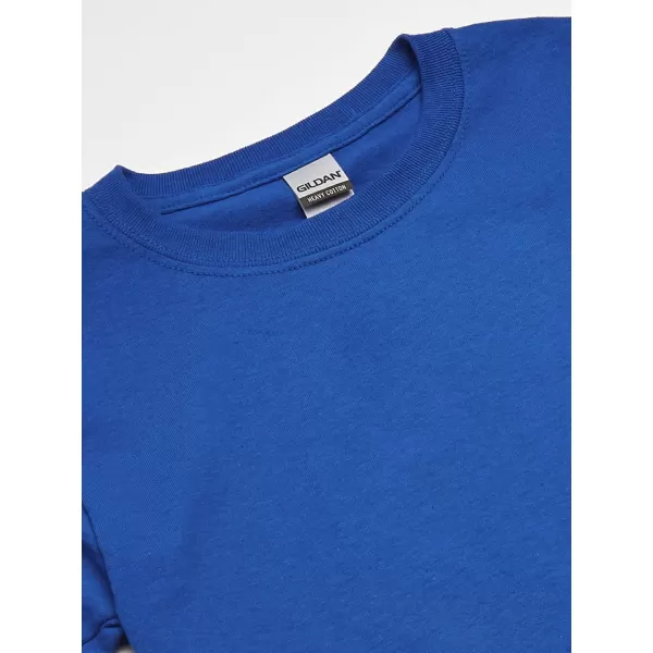 Gildan Youth Heavy Cotton TShirt Style G5000B 2PackRoyal