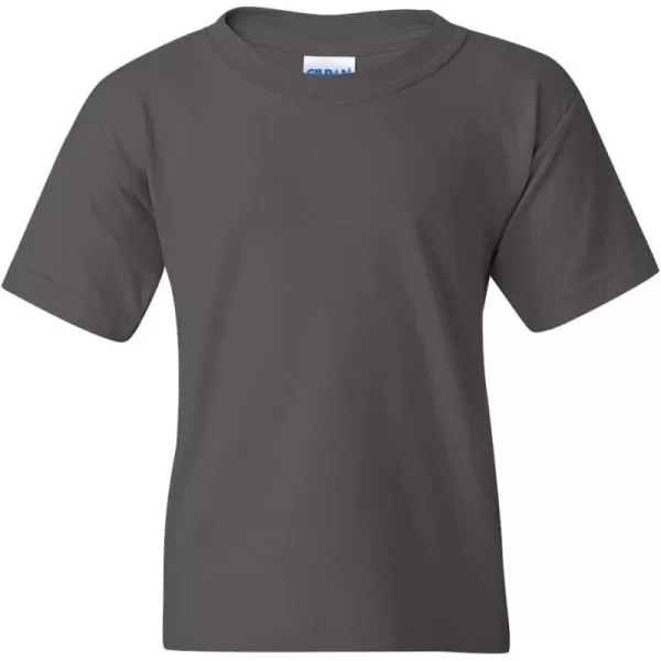 Gildan Youth Heavy Cotton TShirt Style G5000B 2PackCharcoal