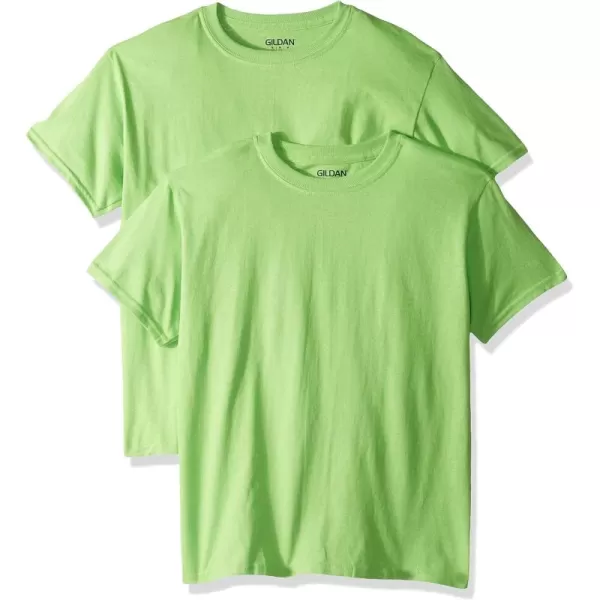 Gildan Youth Heavy Cotton TShirt Style G5000B 2PackLime