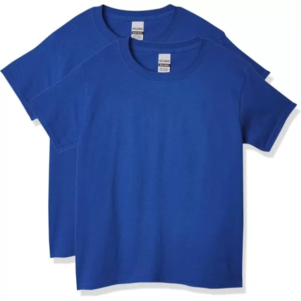 Gildan Youth Heavy Cotton TShirt Style G5000B 2PackRoyal