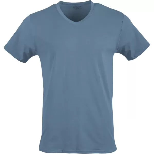 imageGildan Mens VNeck TShirts Multipack Style G1103NavyHeather NavyIndigo Blue 5pack