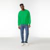 imageGildan Unisex Adult Fleece Crewneck Sweatshirt Style G18000 MultipackIrish Green 1pack
