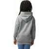 imageGildan Youth Hoodie Sweatshirt Style G18500BSport Grey