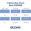 imageGildan Youth DryBlend TShirt Style G8000B 2PackHeliconia