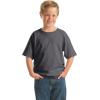 imageGildan Youth Heavy Cotton TShirt Style G5000B 2PackCharcoal