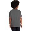 imageGildan Youth Heavy Cotton TShirt Style G5000B 2PackCharcoal