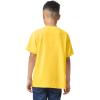 imageGildan Youth Heavy Cotton TShirt Style G5000B 2PackDaisy