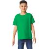 imageGildan Youth Heavy Cotton TShirt Style G5000B 2PackIrish Green