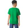imageGildan Youth Heavy Cotton TShirt Style G5000B 2PackIrish Green