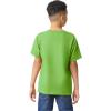 imageGildan Youth Heavy Cotton TShirt Style G5000B 2PackLime