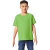 imageGildan Youth Heavy Cotton TShirt Style G5000B 2PackLime