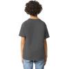 imageGildan Youth Ultra Cotton TShirt Style G2000B MultipackCharcoal 2pack