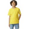 imageGildan Youth Ultra Cotton TShirt Style G2000B MultipackDaisy 2pack